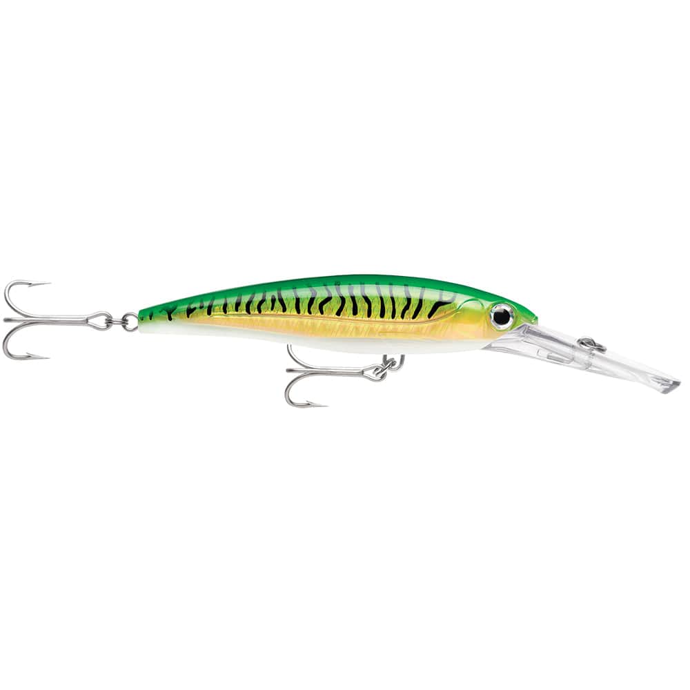 Rapala Rapala X-Rap® Magnum® 15 Gold Green Mackerel Hunting & Fishing