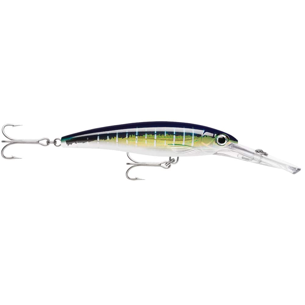 Rapala Rapala X-Rap® Magnum® 15 Sailfish UV Hunting & Fishing