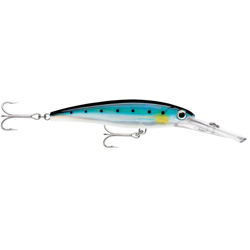 Rapala Rapala X-Rap® Magnum® 20 Sardine Hunting & Fishing