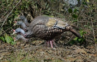 HIGDON DECOYS Higdon Outdoors XS Trufeeder Motion Turkey Hen; 63171 Hunting