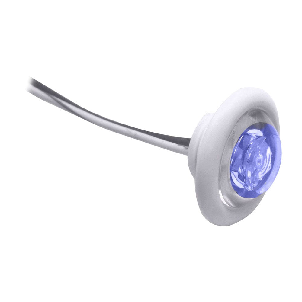 Innovative Lighting Innovative Lighting LED Bulkhead/Livewell Light "The Shortie" Blue LED w/ White Grommet Lighting