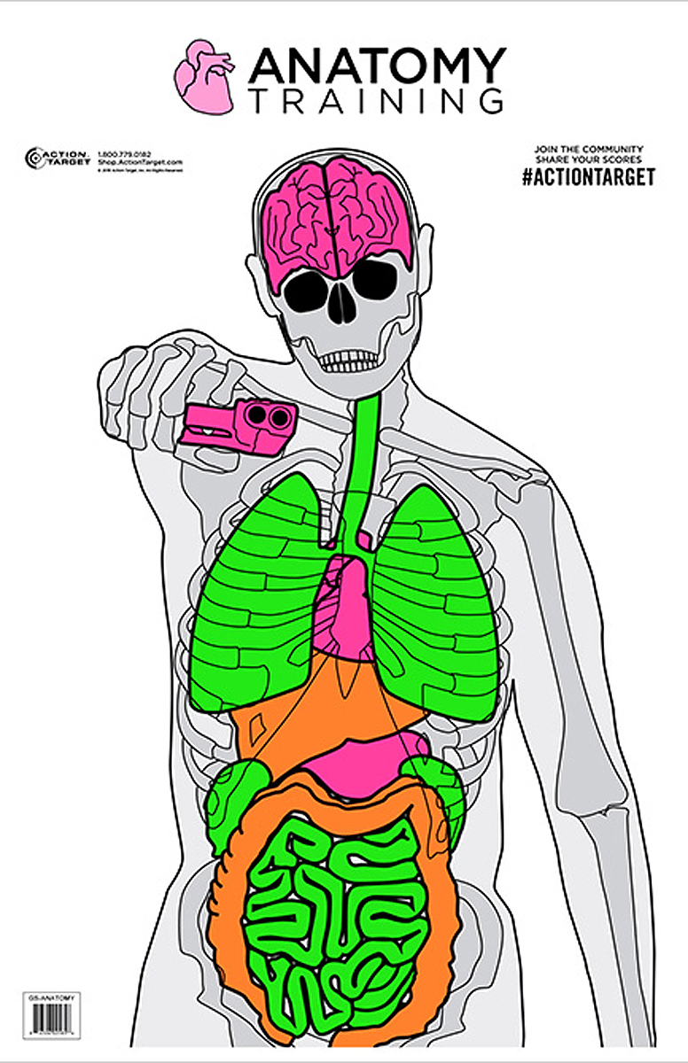 ACTION TARGET INC Action Target Inc Anatomy, Action Gsanatomy100     Anatomy             100 Bx Shooting