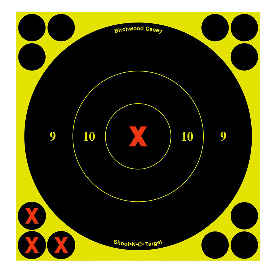 Birchwood Casey Birchwood Casey SNC 6 inch Round X Bull Targets 60 Pack Shooting