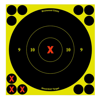 Birchwood Casey Birchwood Casey SNC 6 inch Round X Bull Targets 60 Pack Shooting
